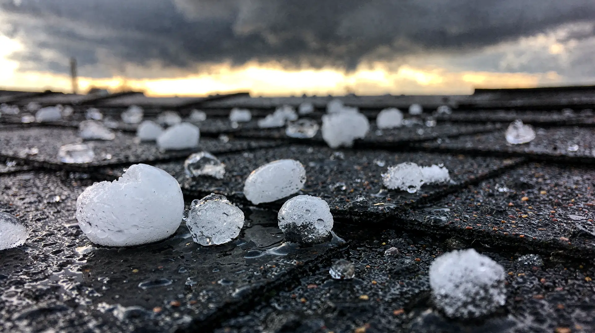 Hailstones scattered across asphalt roof shingles after a Front Range hailstorm